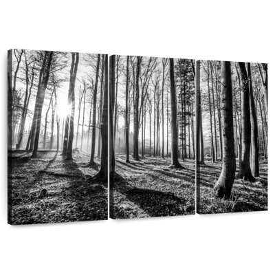 Harnek Forest Sunshine BW