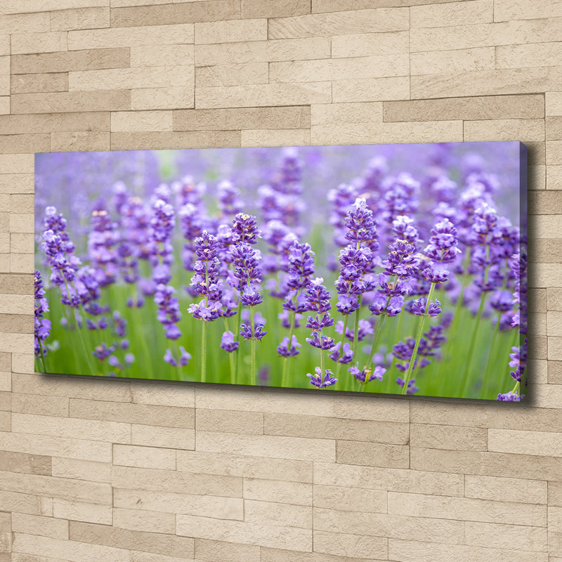 Lavender - No Frame Print on Canvas