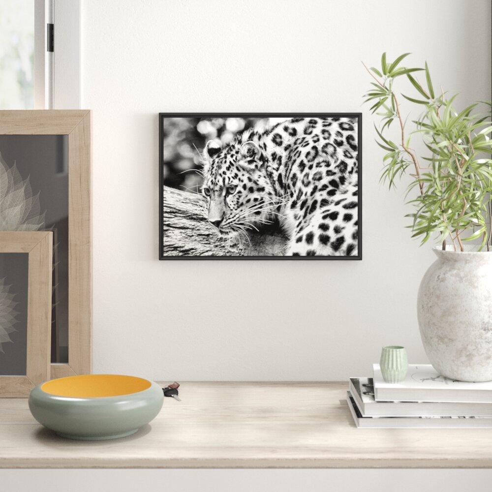 Gerahmtes Wandbild aufmerksamer Leopard auf Baumstamm