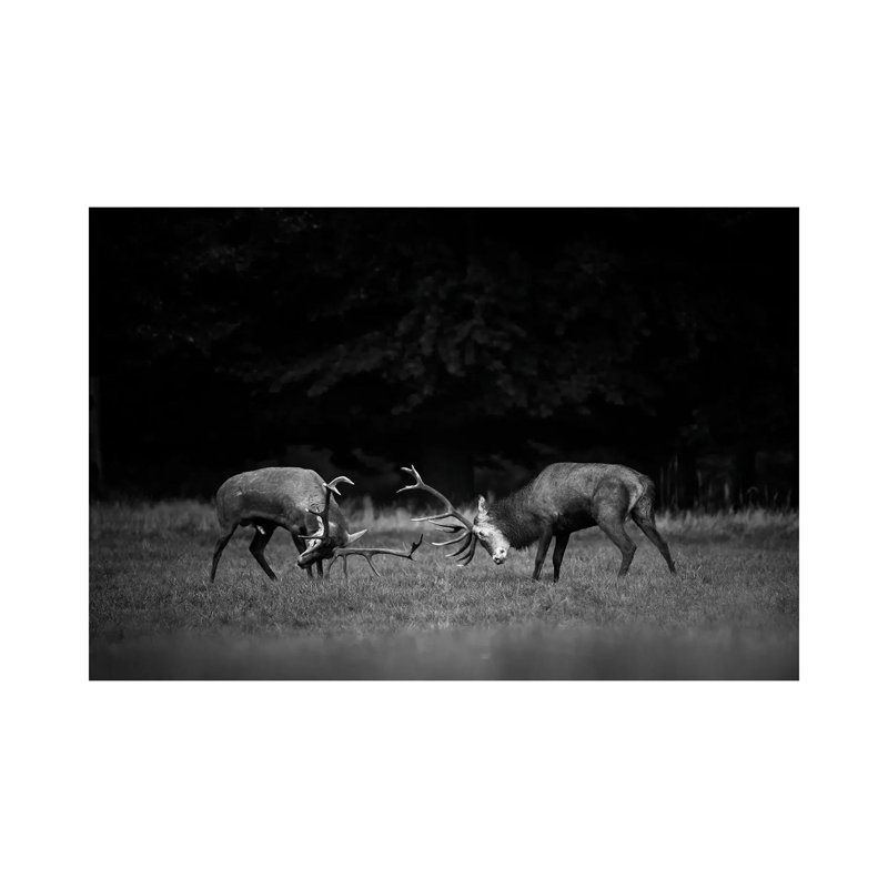 Encounter by Mateusz Piesiak - Wrapped Canvas Print, 66.04 cm H x 45.72 cm W x 1.91 cm D