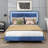 Mikhale Modern Velvet Platform Bed with Tufted Headboard and LED Lights-624327572-623864340