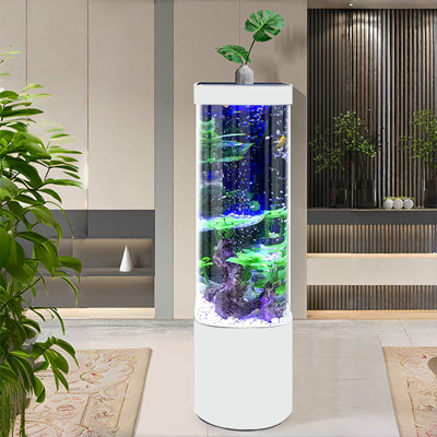 Aquarium moderne semi-circulaire Eco
