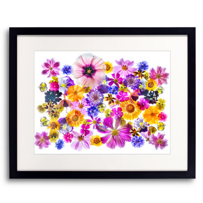Love Is a Many Splendored Thing Framed Graphic Art by Harold Davis