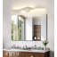 Luminaire de salle de bain moderne à DEL à intensité variable avec 5 températures de couleur réglables-2027244662-2027244663