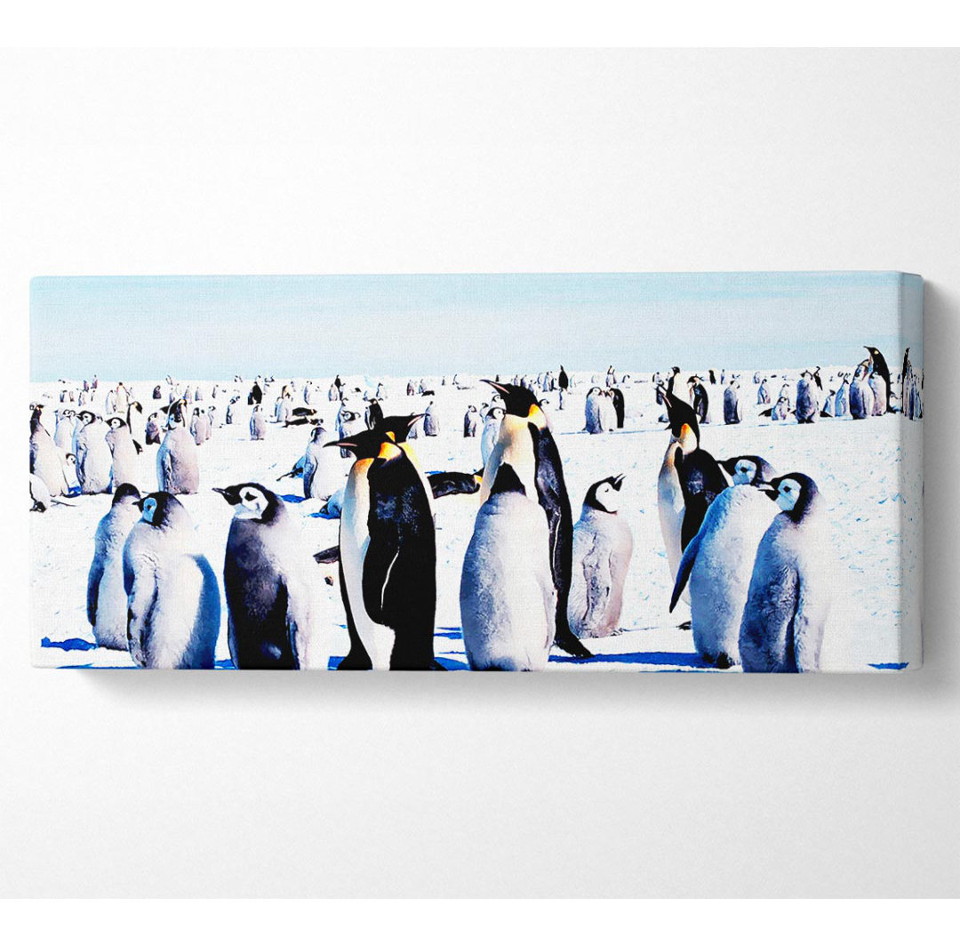 Penguin Meeting Place - Kunstdrucke auf Leinwand - Wrapped Canvas