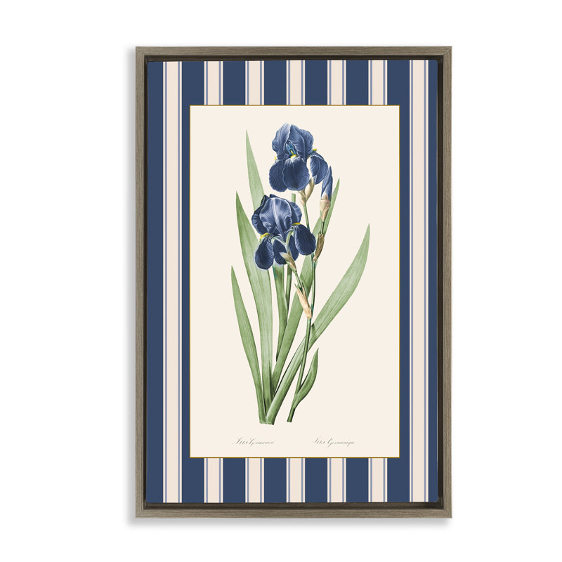 Cadre flottant Iris Study over Stripes, design par Corinne Haig, H 31 po x l 21 po, Cadre flottant orme Montalcino
