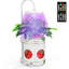 Lampe de culture Hansen