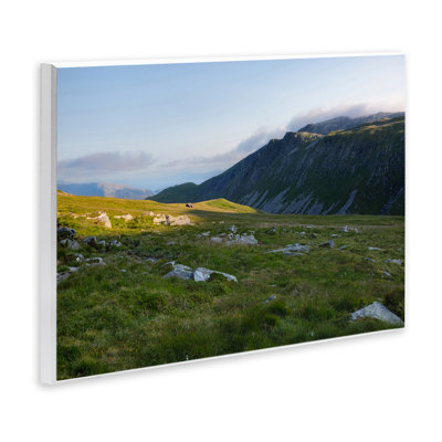 "Lush Rolling Cliff", art mural par Thomas Tepstad Berge