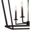 Kitzi 8 - Light Chandelier