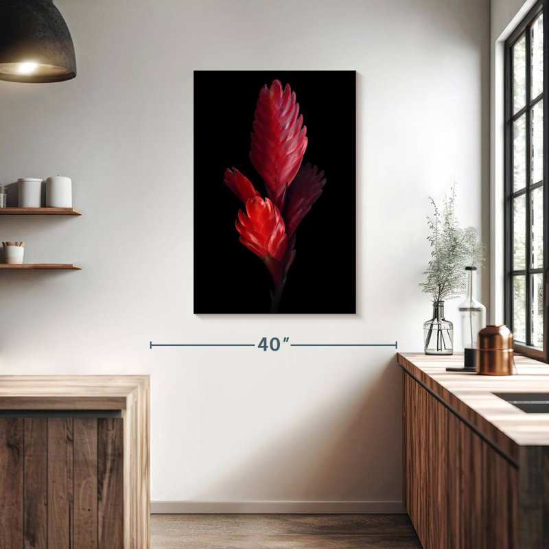 Harnek Bromeliad, 39" H x 26" W
