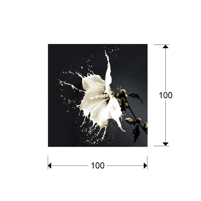 Spash - No Frame Print on Glass