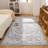 Non-Slip Machine Washable Gray Oriental Area Rug -1302456694