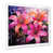 White Single Picture Framed