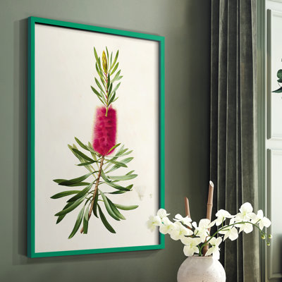 «Pretty Pink Botanicals VII», reproduction encadrée - bois massif
