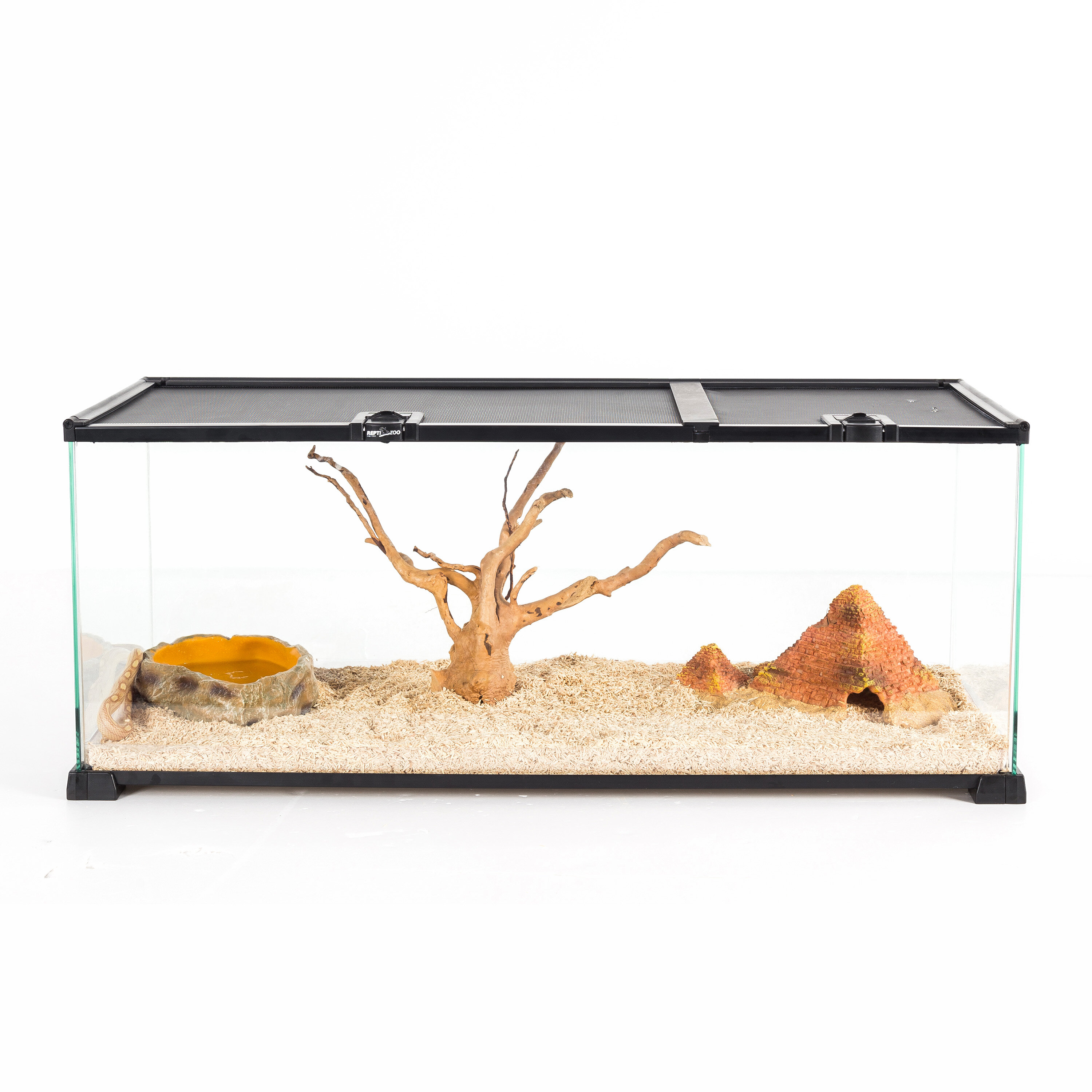 Terarium ReptilTerarium Reptil  