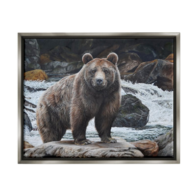 «Stupell Industries Grizzly Bear» par Waterfall, art mural sur toile par Steve Burgess