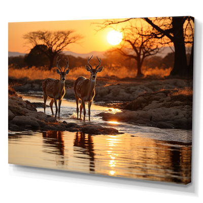 " Africian Deer "