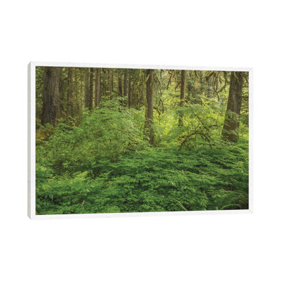 Take My Breath Away by Louis Ruth - Gallery-Wrapped Canvas Giclée on Canvas
