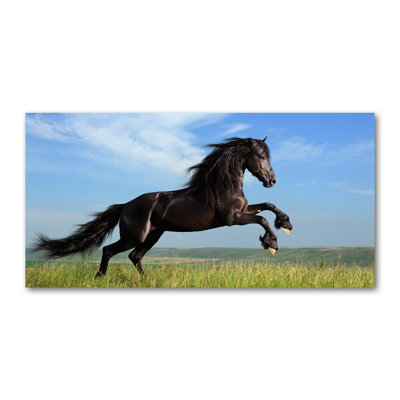 Black Horse on the Meadow 1 Piece Wall Art on Canvas