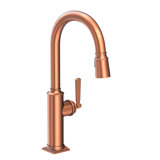Adams Single Handle Pull Down Kitchen Faucet