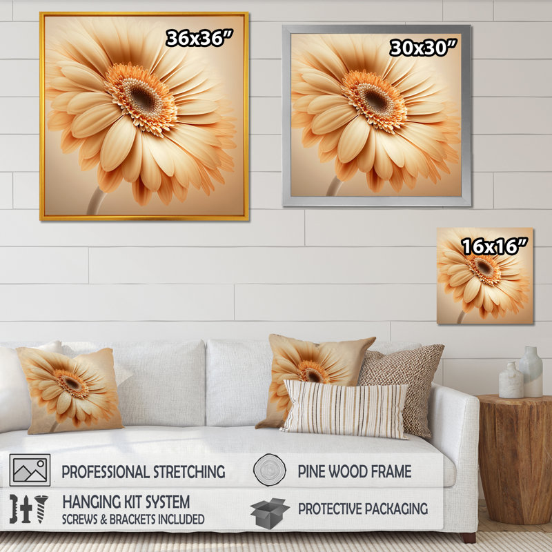" Orange Gerbera Flower IV ", Black Picture Framed Canvas, 36" H x 36" W x 1" D