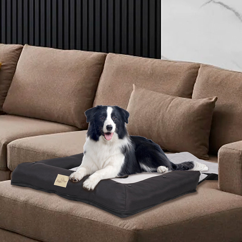 Pet Bed, 10cm H x 85cm W x 60cm D