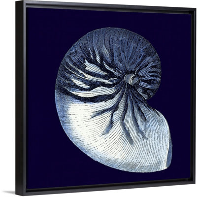 « Indigo shells VII » par vision studio-impression