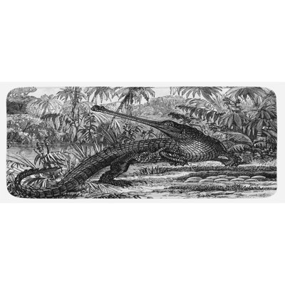 Croquis de style ancien d’un crocodile dans une forêt, bois sauvage, tapis de cuisine jaune anthracite à photos