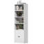 Shawntella 180cm H x 60cm W Standard Bookcase-231029048