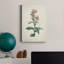 «Traditional Botanical II», impression sur toile tendue-1942529584