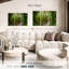 Alvord - forêt tropicale mystique-107970234