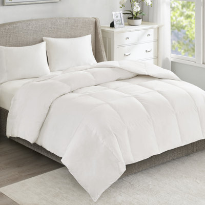 All Season Oversized 100% Cotton Down Comforter