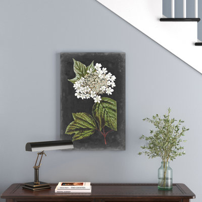 " Dramatic White Flowers III " by Vision Studio Painting Print