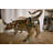Modern Variation of Wall Street Bull Stainless Steel Statue 80" x 49" x 49"H
