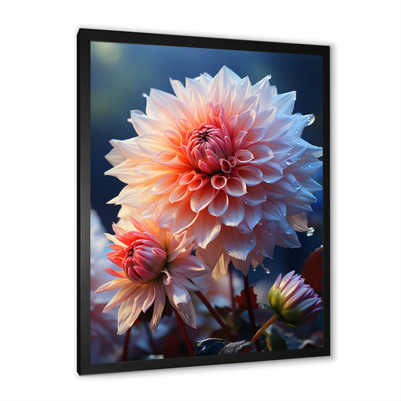 «Kosma Pink Dahlia Romantic Impression II», reproduction sur toile, Cadre photo noir, H 20 po x l 12 po x P 1 po