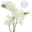 Orchidée artificielle dans un vase-64581333