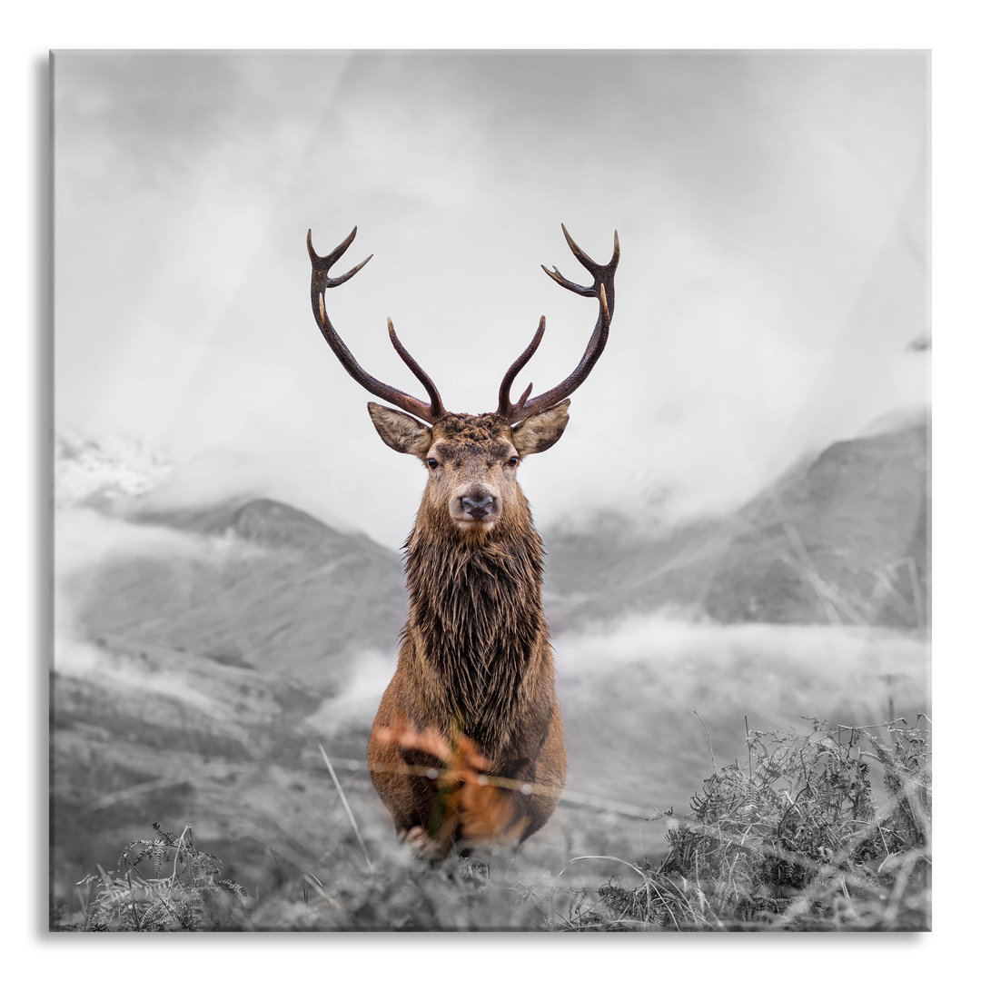 Ungerahmter Grafikdruck auf Glas "Majestic Deer in a Mountain Landscape"