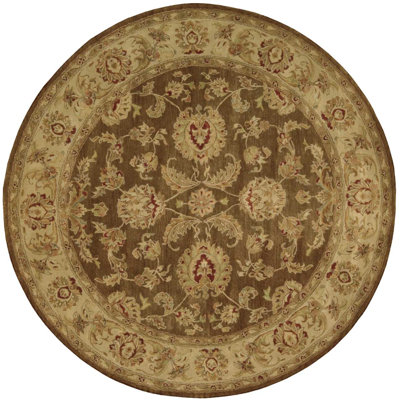 Delaware Wool Oriental Indoor Rug