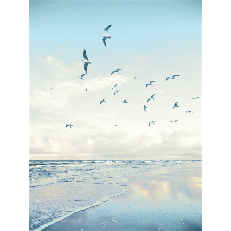 Seagulls On The Beach GLA2603