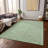 Washable Floral Indoor / Outdoor Rug-861290901