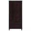 Armoire d'appoint haute 2 tiroirs avec 2 portes