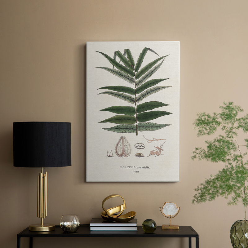 Fougères de la Botanical Society - galerie Cavas sur mesure, H 18 po x l 12 po