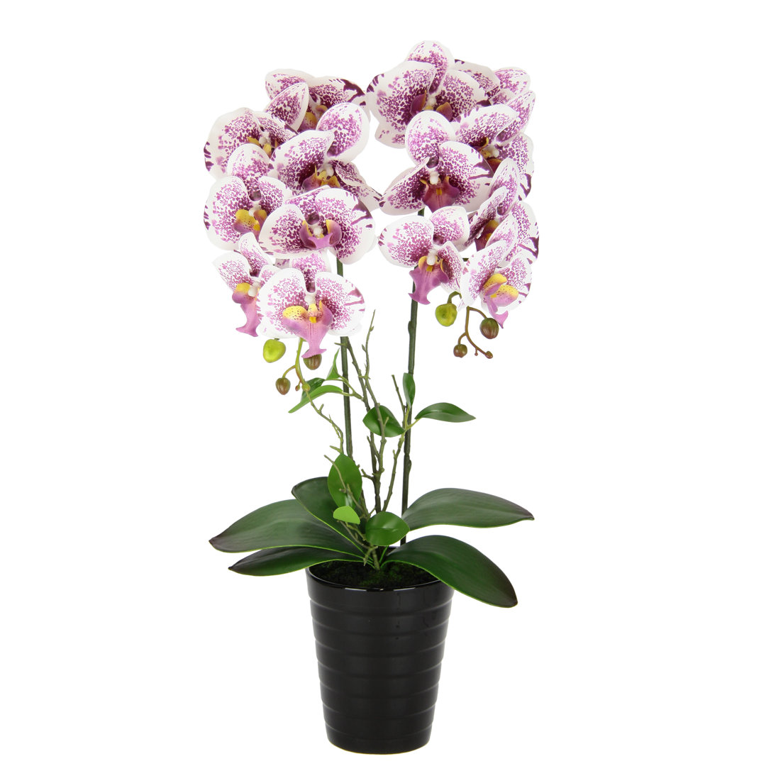 Künstliche Orchidee im Topf Kunstorchidee Kunstblume Phalaenopsis Hochzeit Seidenblume Real Touch