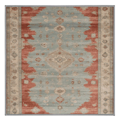 Machine Washable Overdyed Gray Area Rug