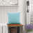 Supersoft Velvet Square Throw Pillow Cover-1411981441