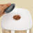 Romsey 5L Food Storage Container