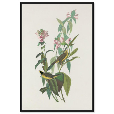 Cheerful Pair Canvas Print Botanical Art by Art Remedy