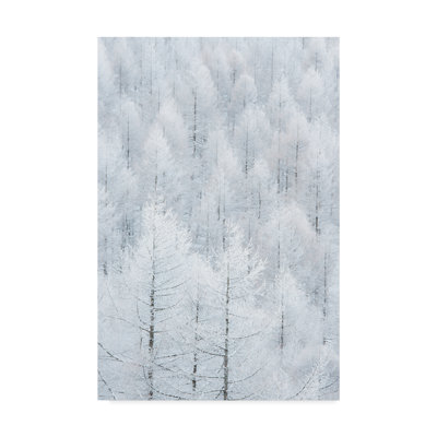 Reproduction sur toile tendue « Winter Forest » par Syouta Nagase