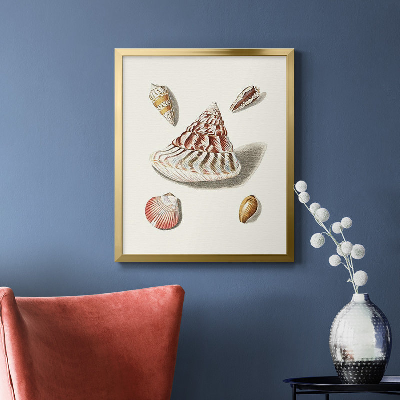 Pastel Knorr Shells VII, toile encadrée de qualité supérieure - prête à être accrochée, Or, H 24 po x l 20 po
