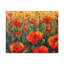 No Frame Print on Canvas-1472642955